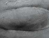 A black and white image showing the crater near where the Phoenix Lander touched down on Mars. The Descent of the Phoenix Lander (2008): A dramatic oblique view catches the Phoenix lander descending on its parachute, the first time that one spacecraft has photographed another before it has landed. Although it appears that Phoenix is descending into Heimdal Crater, it is actually about 20 kilometers in front and 13 kilometers above the surface.